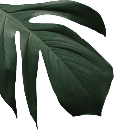 vi que kitchen la cay 2