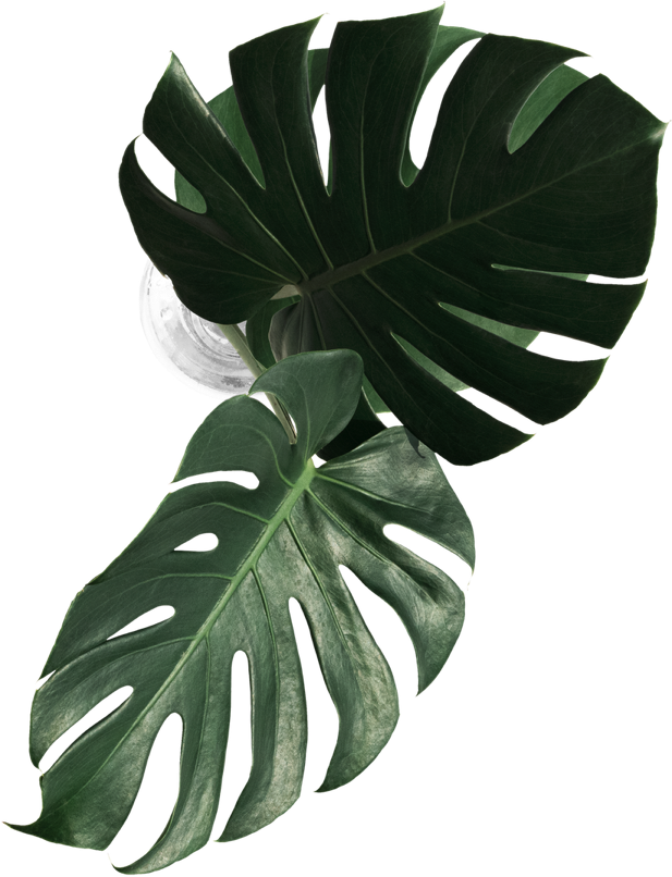 vi que kitchen la cay 4