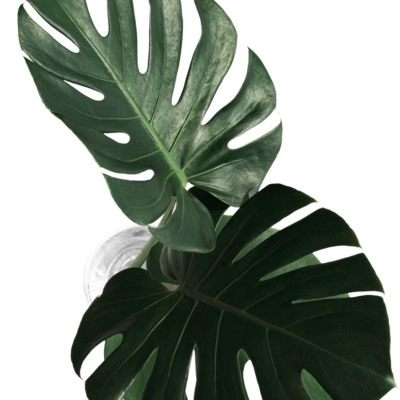 vi que kitchen la cay 8