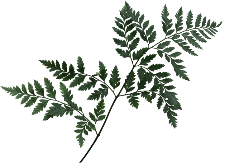 vi que kitchen la cay 9