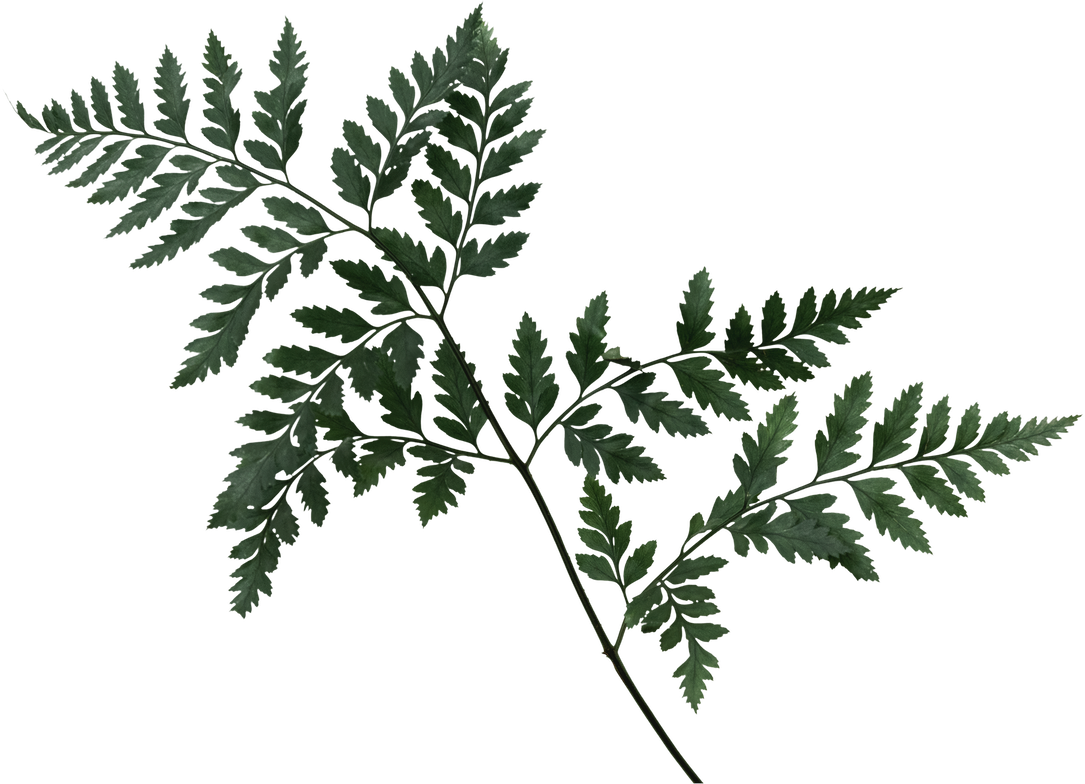 vi que kitchen la cay 7