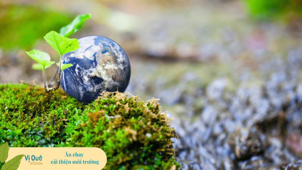 Ăn chay giúp giảm biến đổi khí hậu, cải thiện môi trường